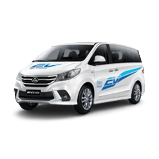 Maxus EG10